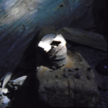 DSC00081(1)