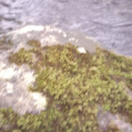 20220117151028