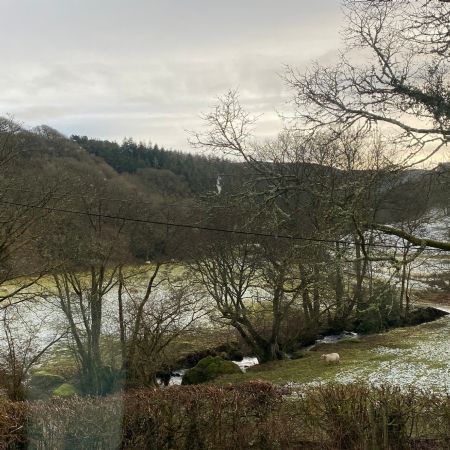 MISS TUBB'S GP (MON: MOUNTAIN DAY)