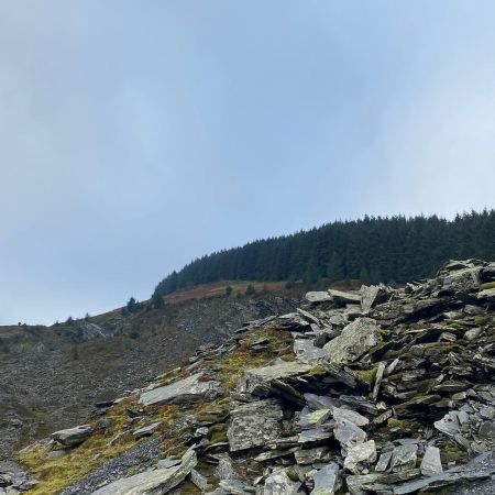IMG-20230124-WA0063