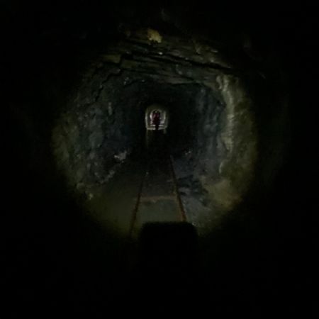 IMG7527