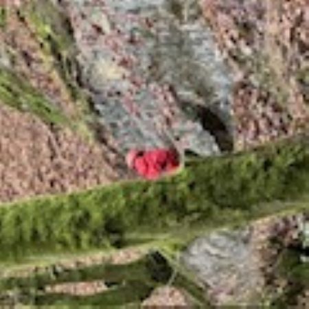 IMG0655
